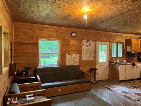 Tiny photo for 9657 Gardner Road, Pinckney, NY 13626 (MLS # S1700581)