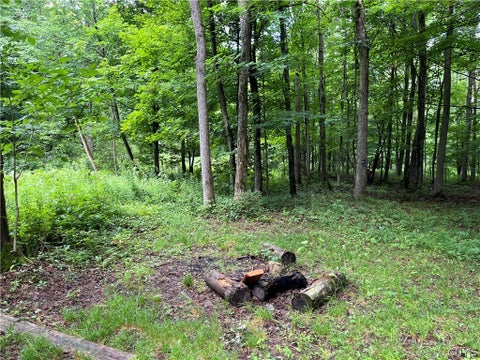 Tiny photo for 9657 Gardner Road, Pinckney, NY 13626 (MLS # S1700581)