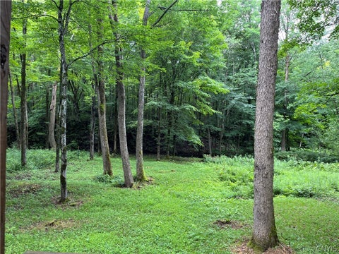 Tiny photo for 9657 Gardner Road, Pinckney, NY 13626 (MLS # S1700581)