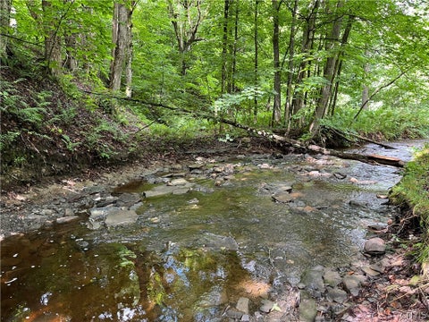 Tiny photo for 9657 Gardner Road, Pinckney, NY 13626 (MLS # S1700581)