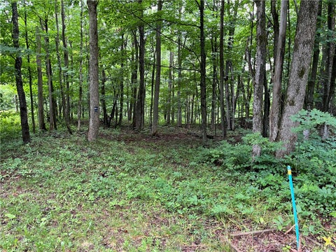 Tiny photo for 9657 Gardner Road, Pinckney, NY 13626 (MLS # S1700581)