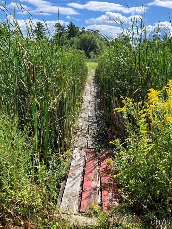 48814 County Route 1