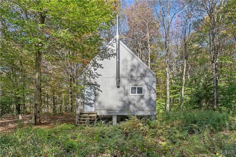 Vacant Land For Sale - 97 Beaver Crk Crk<br/> Oswego County, Redfield, NY 13437