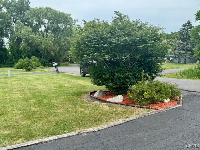 111 Terrace View Drive