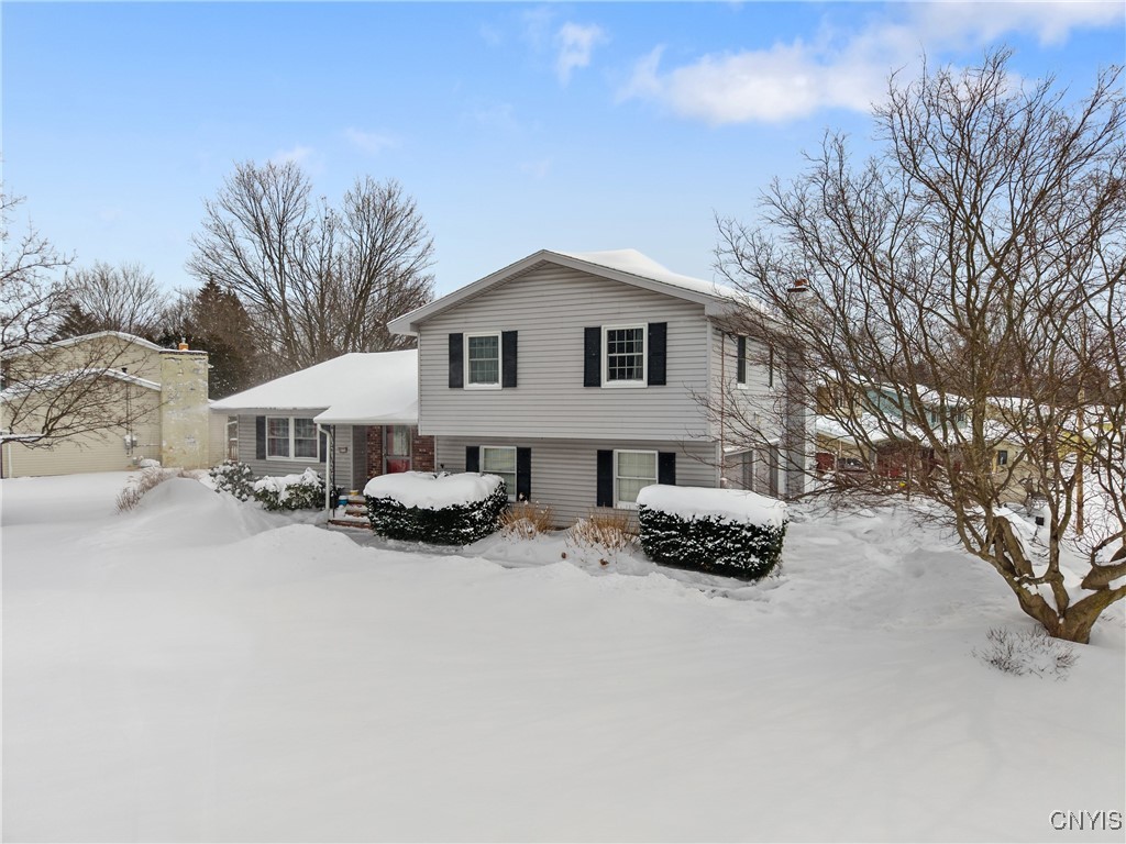 4250 Forestbrook Drive