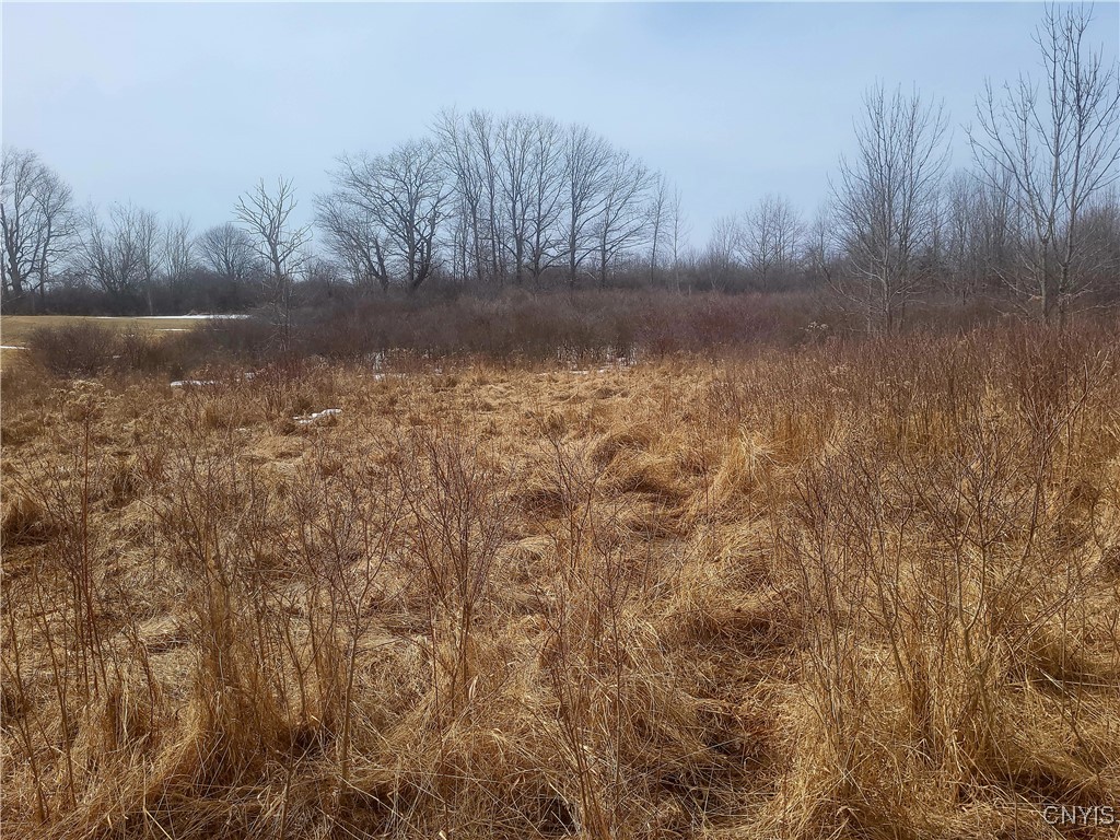 00 Breezy Pines Road, Clayton, New York image 11