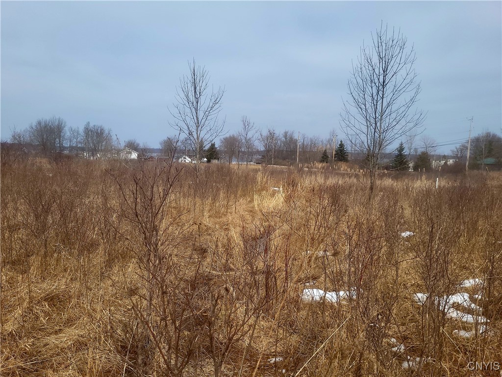 00 Breezy Pines Road, Clayton, New York image 15