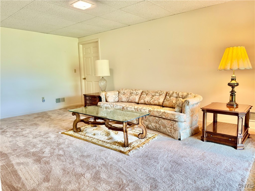 111 Spyglass Lane, Manlius, New York image 23
