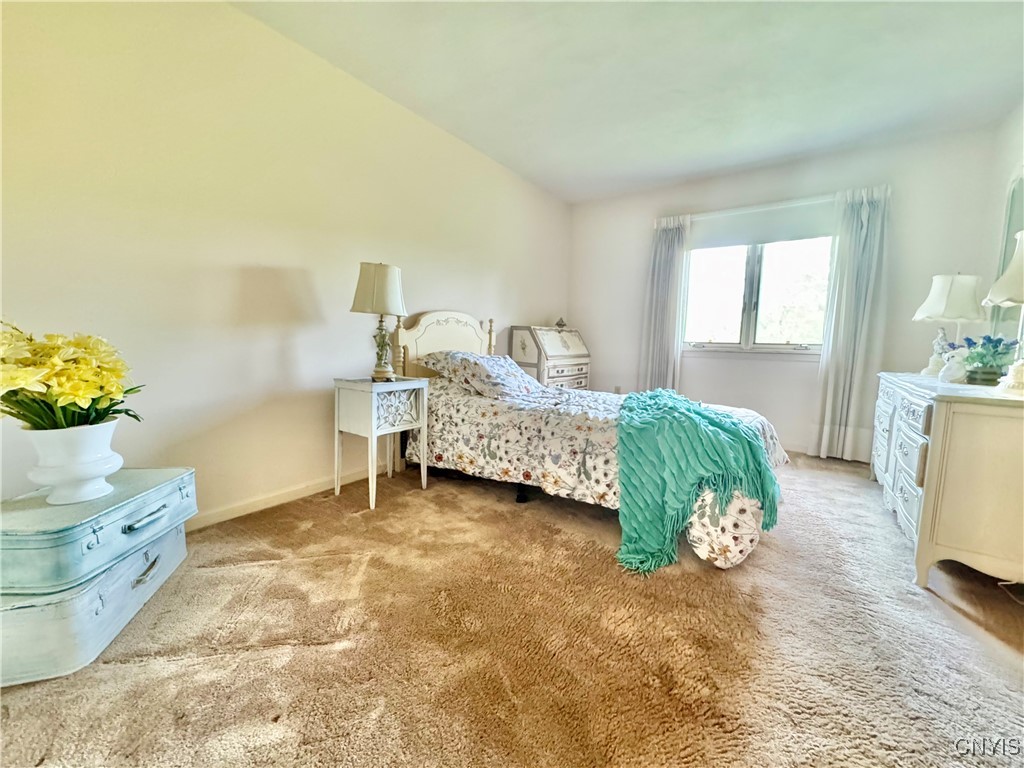 111 Spyglass Lane, Manlius, New York image 18
