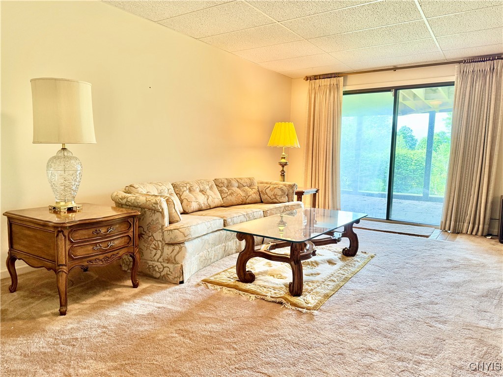 111 Spyglass Lane, Manlius, New York image 24