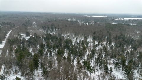 Photo of 00 Co Rt 10, Schroeppel, NY 13132 (MLS # S1658704)