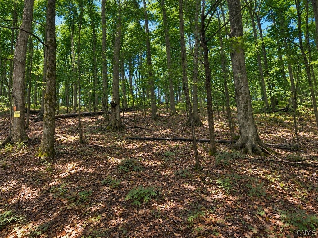 Photo of 4 Nob Road, Utica, NY 13501 (MLS # S1714112)