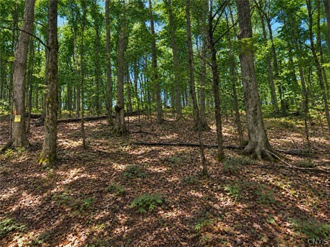 Vacant Land For Sale - 4 Nob Road<br/> Utica, NY 13501