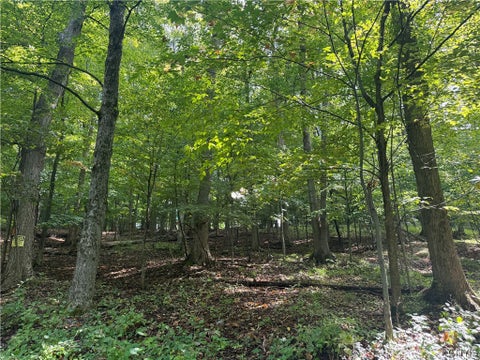 Vacant Land For Sale - 4 Nob Road<br/> Utica, NY 13501