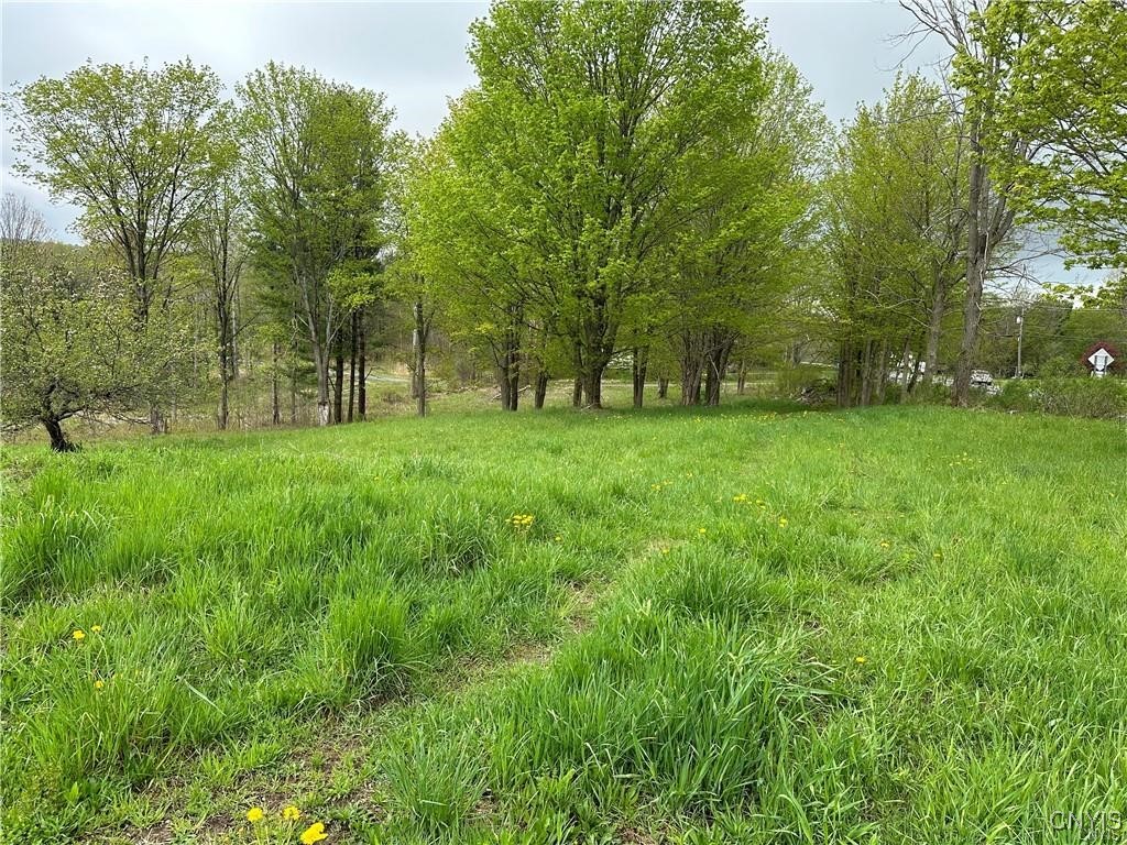 Lot 2A NYS Route 126