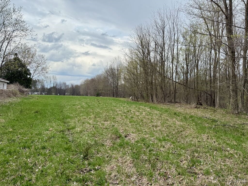 Ellisburg Street, Sandy Creek, New York image 1