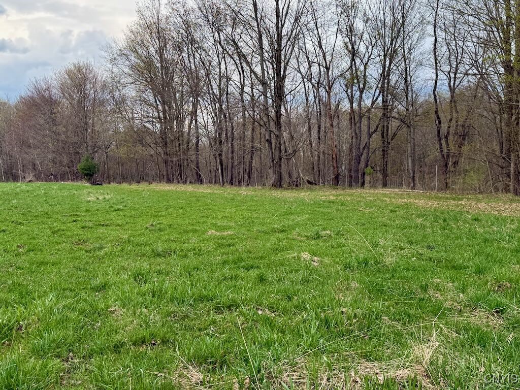 Ellisburg Street, Sandy Creek, New York image 7