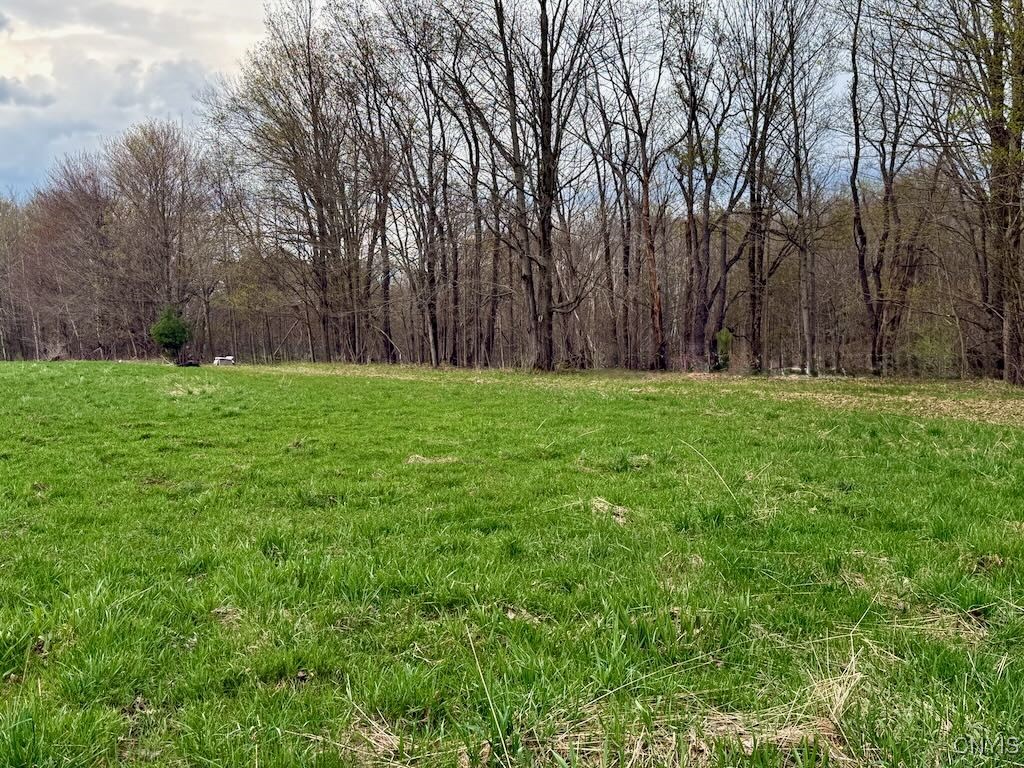 Ellisburg Street, Sandy Creek, New York image 6