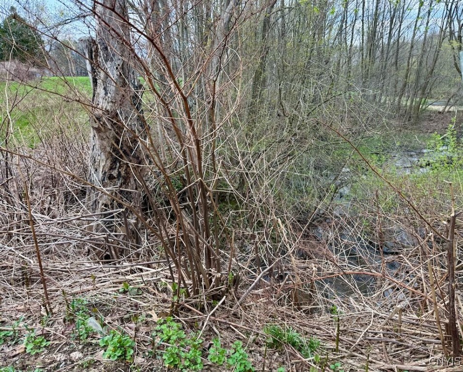 Ellisburg Street, Sandy Creek, New York image 4