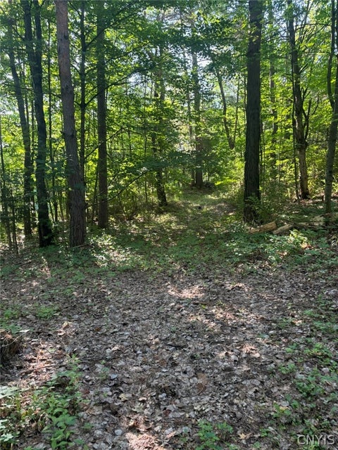 Vacant Land For Sale - Maple Street<br/> Diana, NY 13648