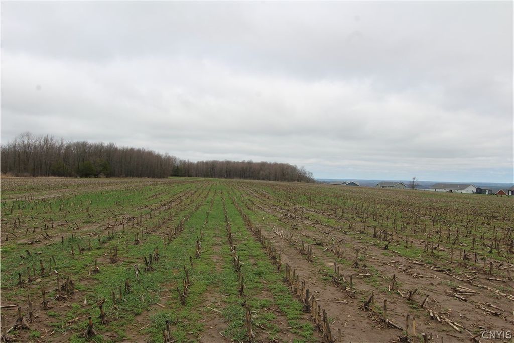 Photo of 00 Ebbly Road, Lowville, NY 13367 (MLS # S1674313)