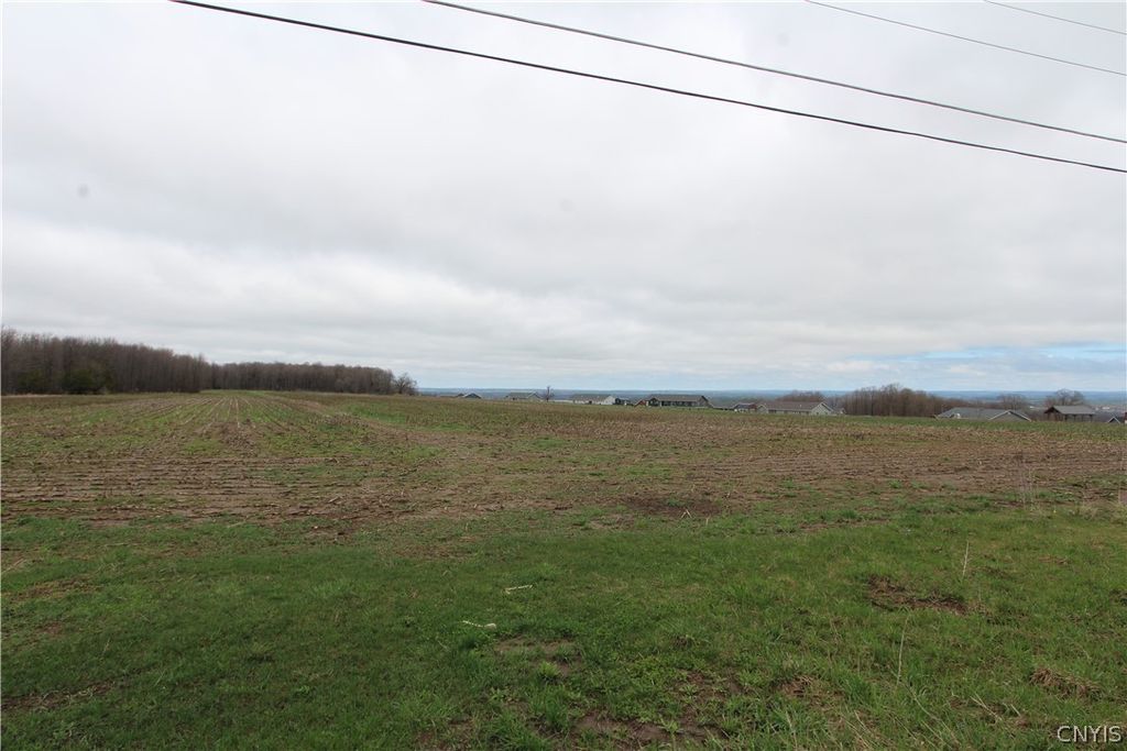 Photo of 00 Ebbly Road, Lowville, NY 13367 (MLS # S1674313)