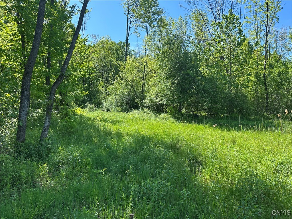 Gokey Road, Lawrence, New York image 1