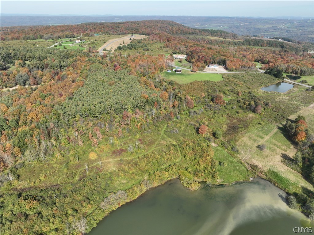 Lot 25 A Steuben Hill Rd Road, Herkimer, New York image 4