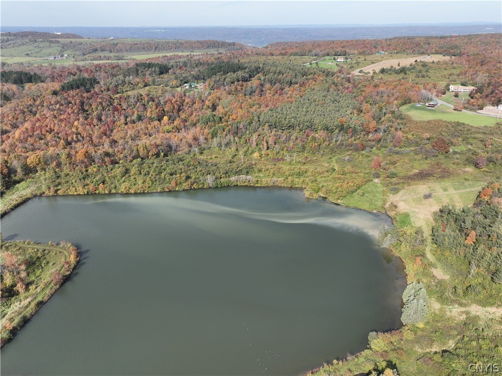 Lot 25 A Steuben Hill Rd Road, Herkimer, New York image 10