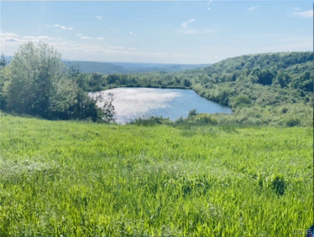 Lot 25 A Steuben Hill Rd Road, Herkimer, New York image 5