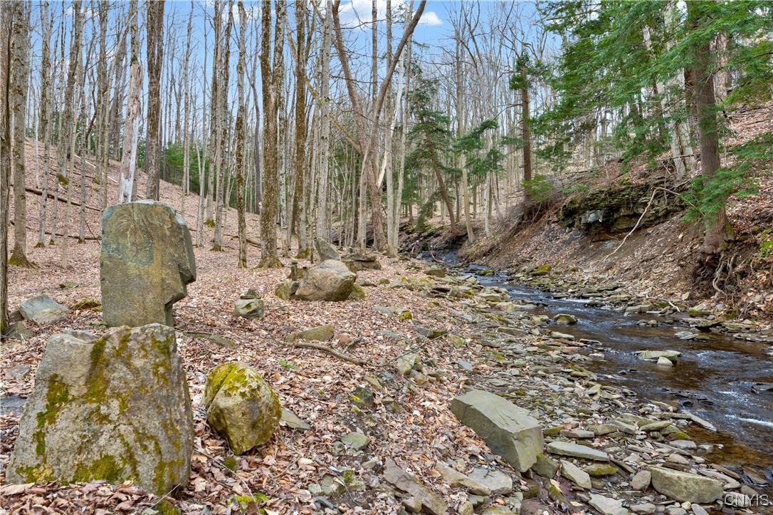 316 Wilson Road, Frankfort, New York image 46
