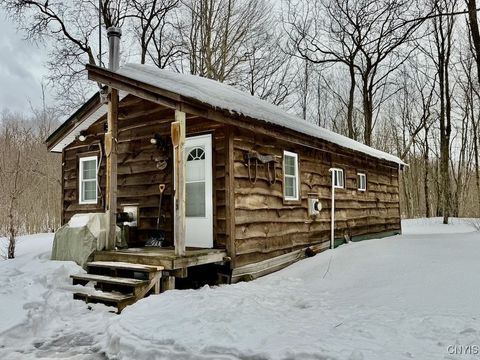 Vacant Land For Sale - 168 Carpenter Road<br/> Orwell, NY 13144