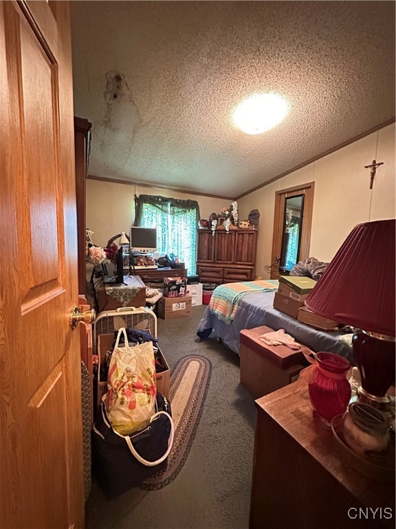 255 Holly Hole Road, Constantia, New York image 22