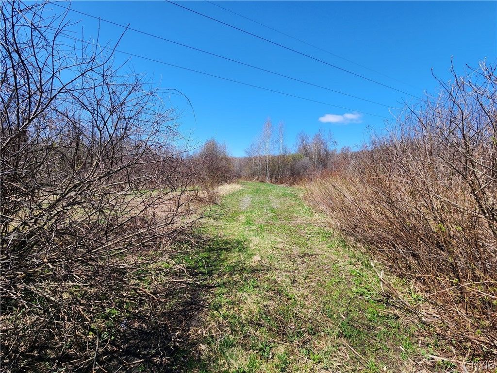 Photo of 0 Lehigh Road, Richland, NY 13142 (MLS # S1674526)