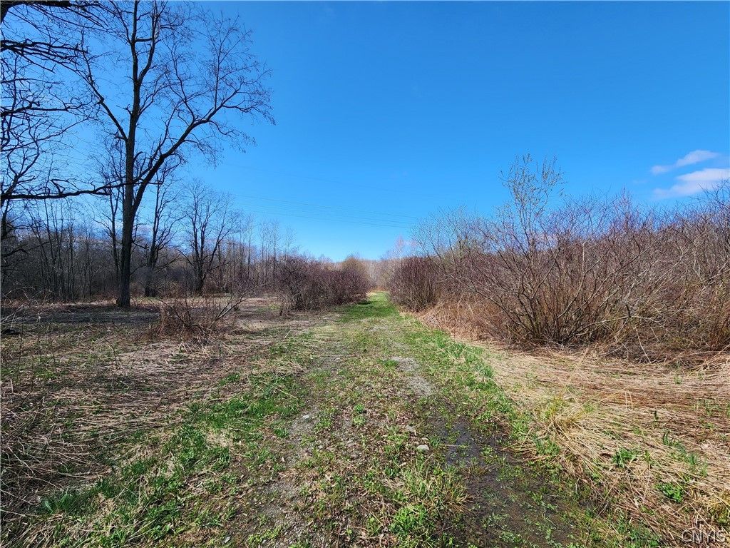 Photo of 0 Lehigh Road, Richland, NY 13142 (MLS # S1674526)