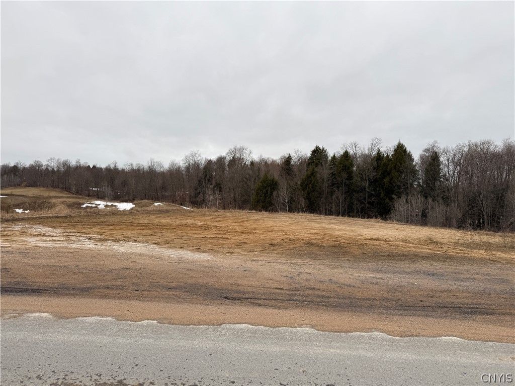 Photo of Lot 4 Lyons Falls Road, Greig, NY 13368 (MLS # S1667920)