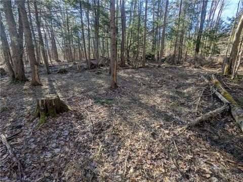 Vacant Land For Sale - 594 Baum Road<br/> Hastings, NY 13076