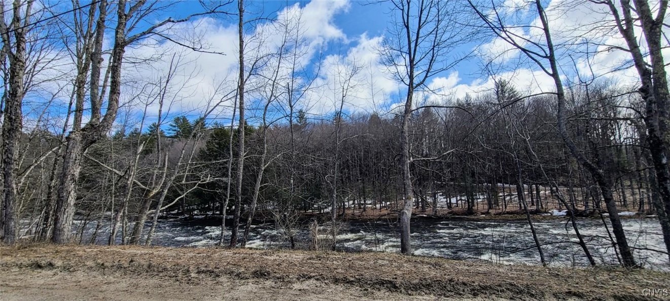127 Cemetery Road, Stratford, New York image 19