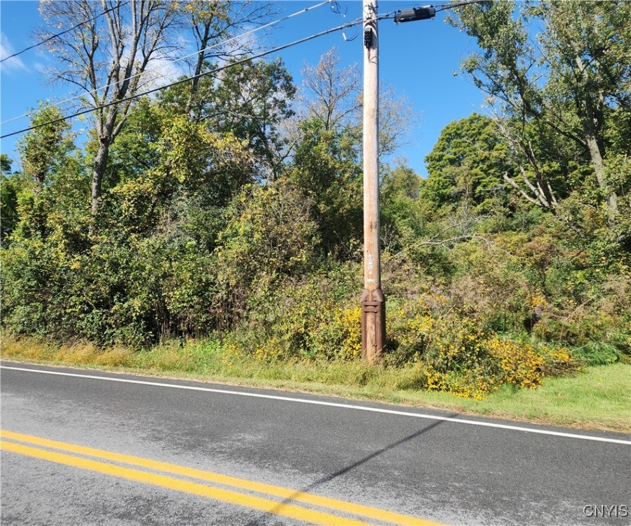 County Route 11, Clayton, New York image 10