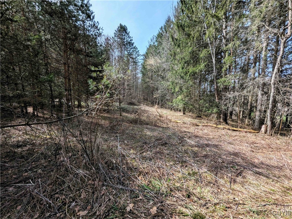Ryan Hollow Road, Cohocton, New York image 6
