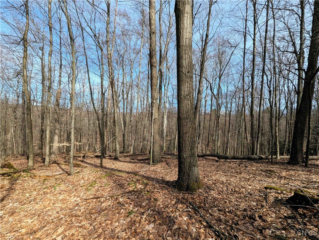 Ryan Hollow Road, Cohocton, New York image 19