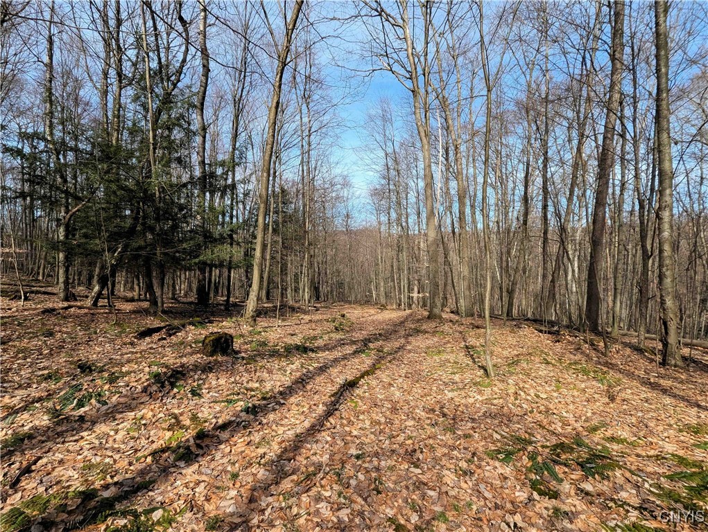 Ryan Hollow Road, Cohocton, New York image 18