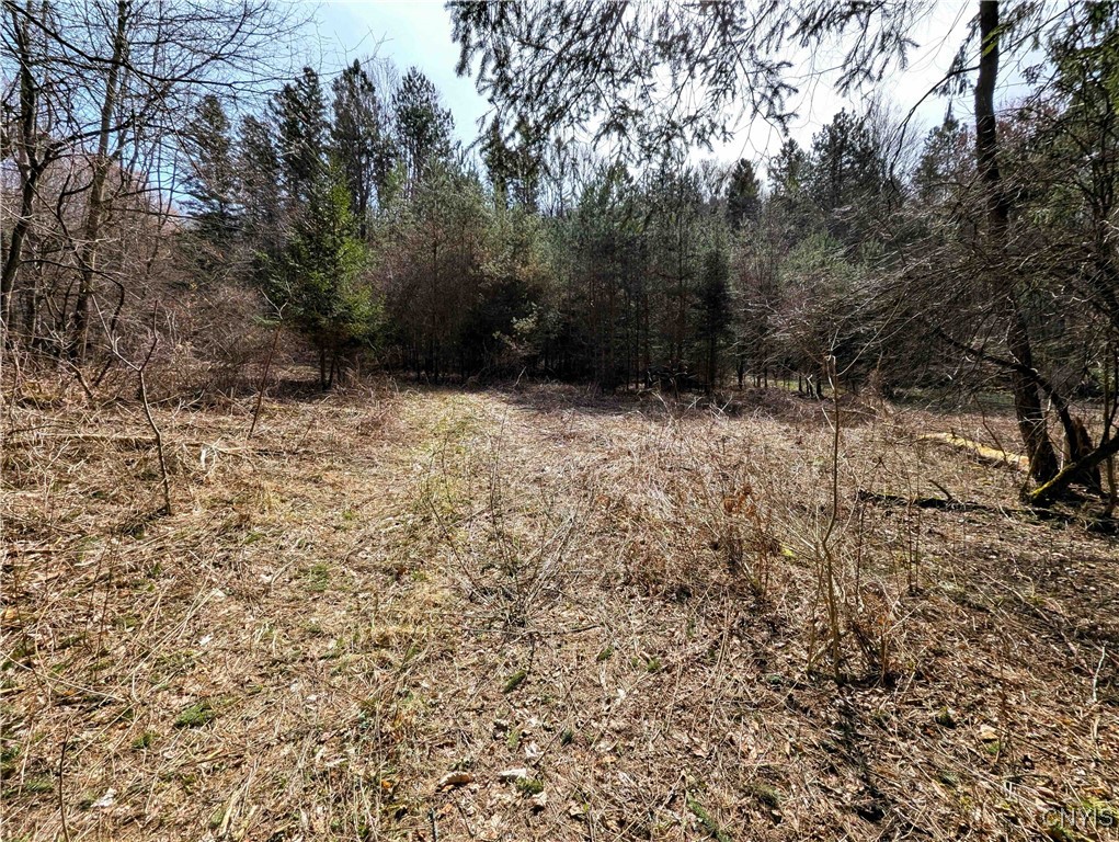 Ryan Hollow Road, Cohocton, New York image 4