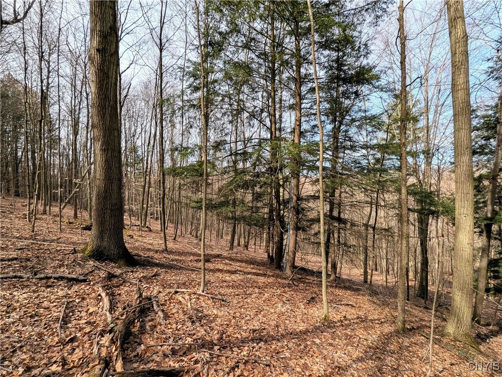 Ryan Hollow Road, Cohocton, New York image 30
