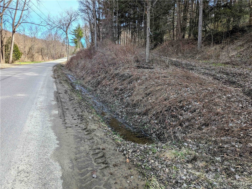 Ryan Hollow Road, Cohocton, New York image 34