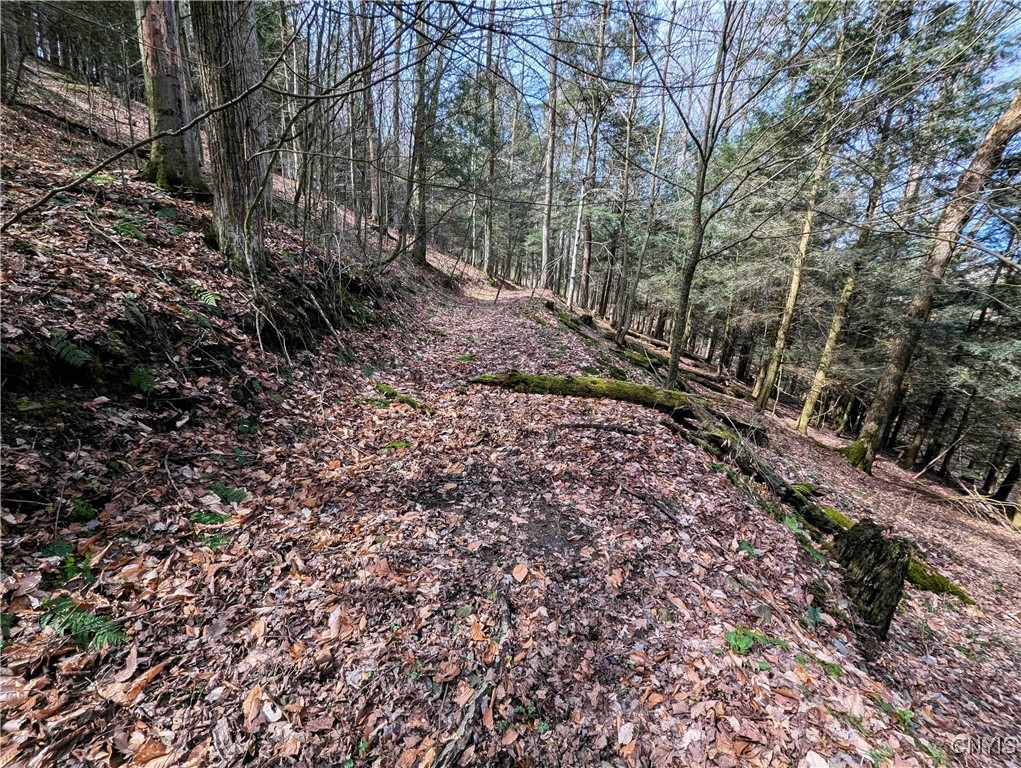 Ryan Hollow Road, Cohocton, New York image 14