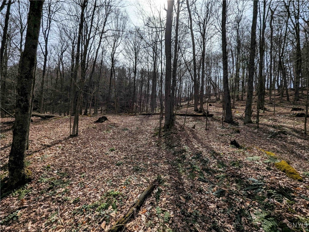 Ryan Hollow Road, Cohocton, New York image 17