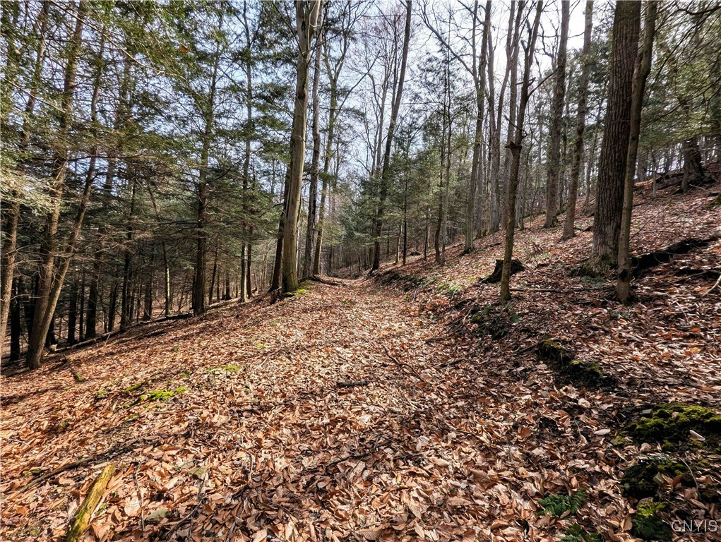 Ryan Hollow Road, Cohocton, New York image 22