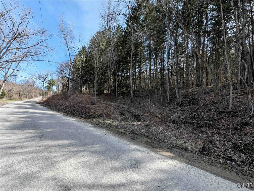 Ryan Hollow Road, Cohocton, New York image 35