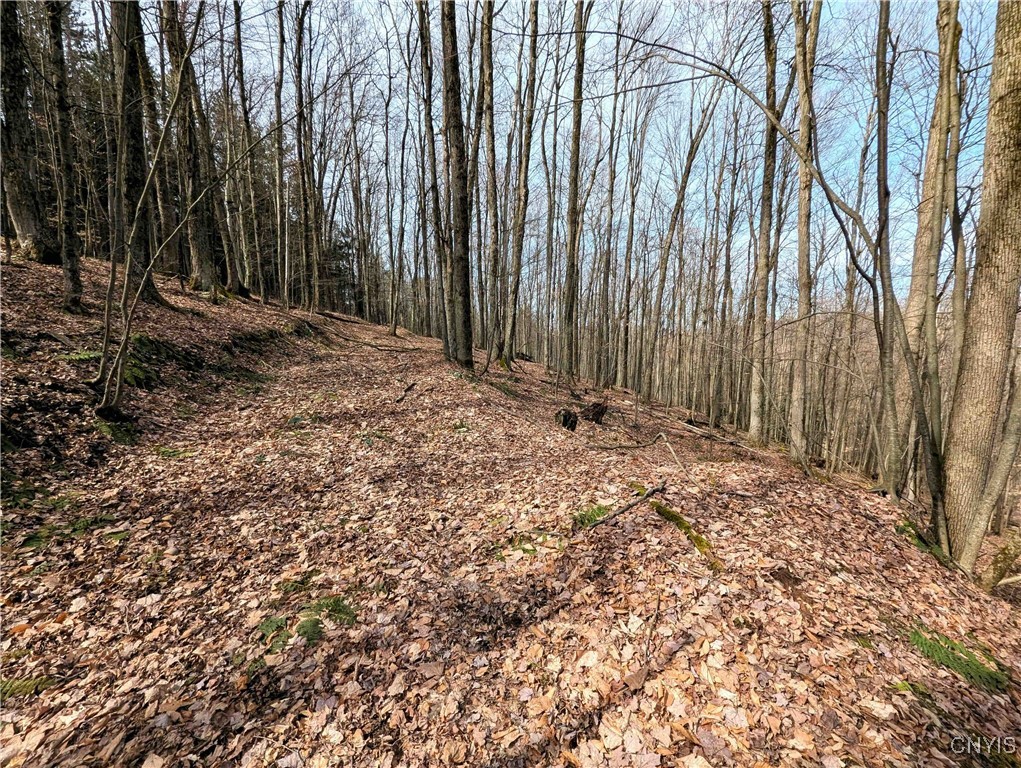 Ryan Hollow Road, Cohocton, New York image 24